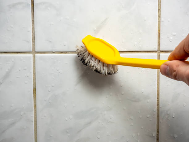 Best Mold Removal Specialists  in Thomasville, NC