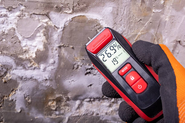 Thomasville, NC Mold Removal Company