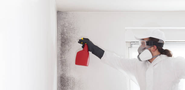 Mold Testing and Removal in Thomasville, NC